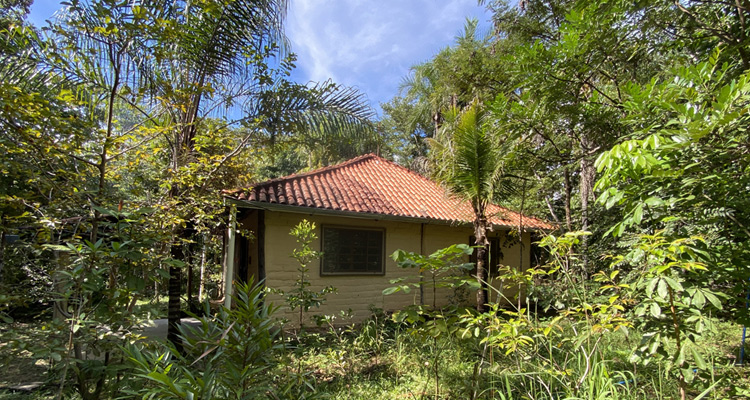 category image